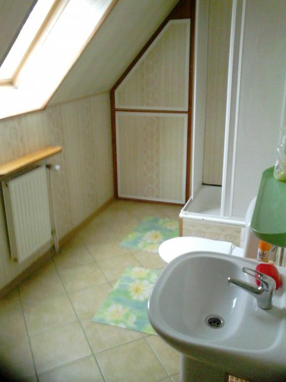 Appartamento Olsik Białowieża Esterno foto