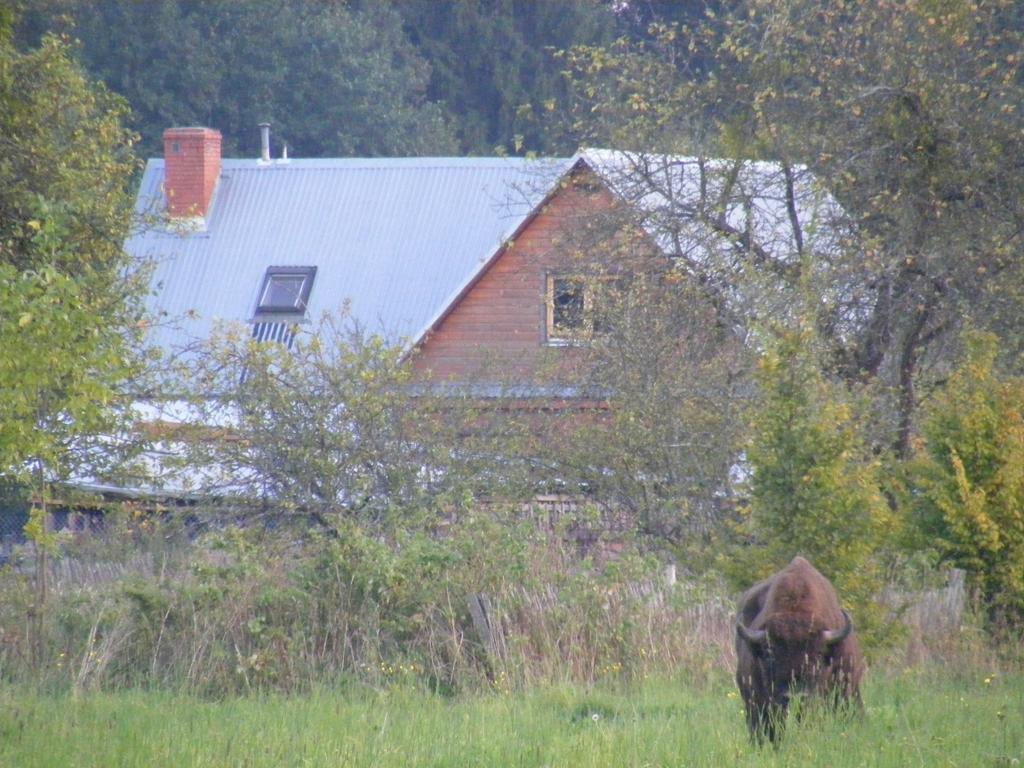 Appartamento Olsik Białowieża Esterno foto