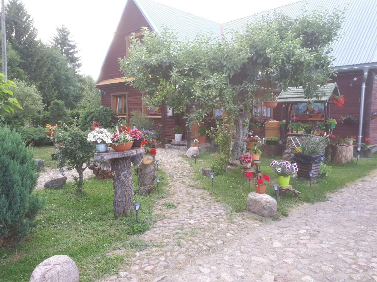 Appartamento Olsik Białowieża Esterno foto