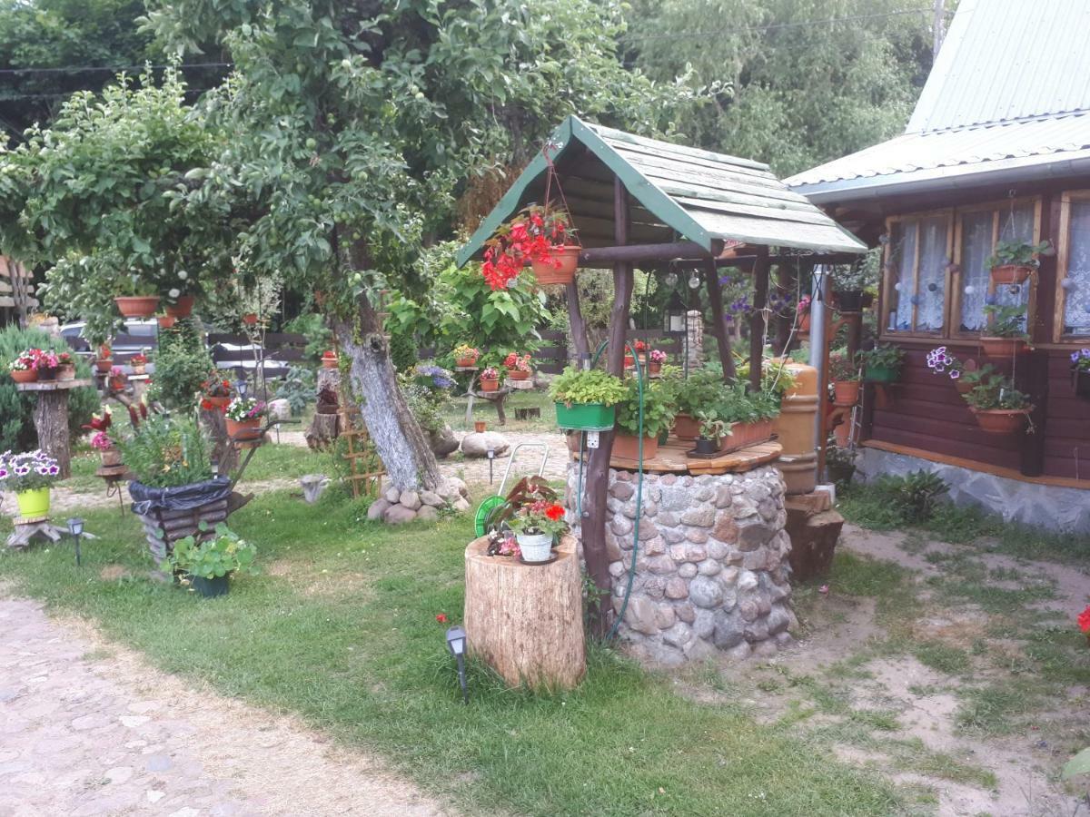 Appartamento Olsik Białowieża Esterno foto